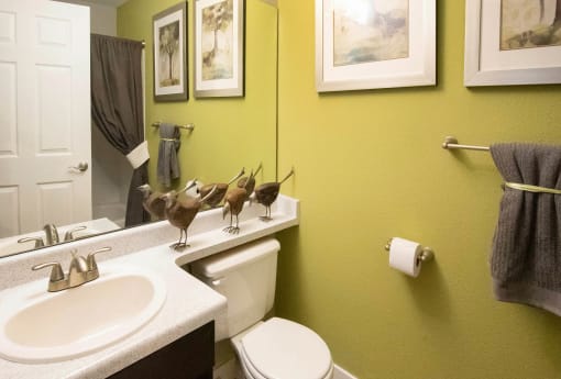 Luxurious Bathroom at Heritage at Hidden Creek, Colorado