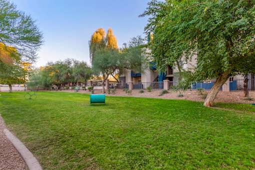 Dog Park at Sweetwater At Metro North Apartments, Arizona 85029