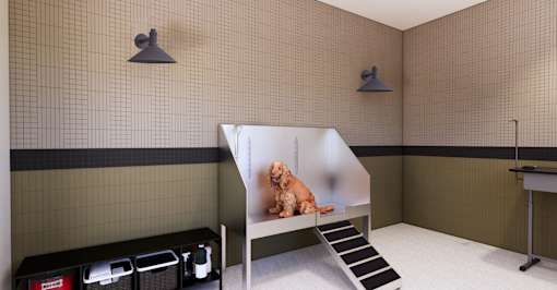 A dog is sitting on a bench in a room with tiled walls.