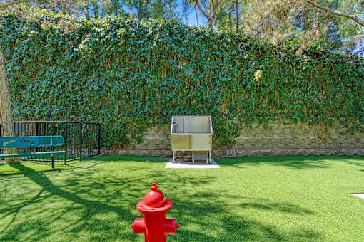 A red fire hydrant is in the middle of a green lawn.