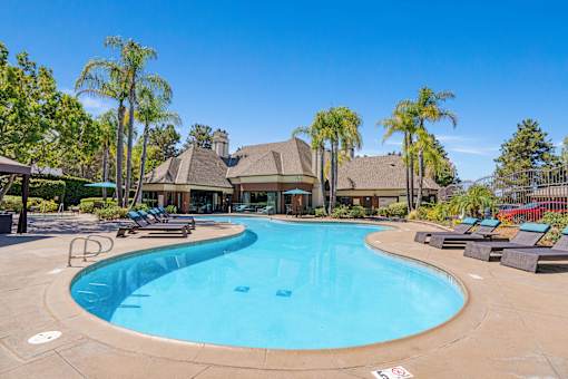 A large outdoor swimming pool surrounded by palm trees and lounge chairs.