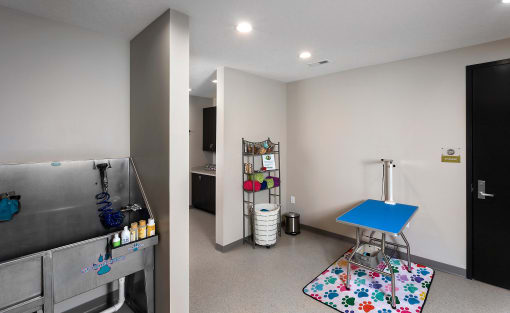 a pet spa with a wash station, pet cages, and a grooming corner