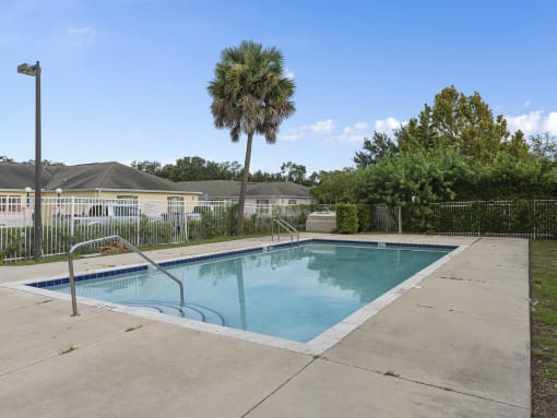 a swimming pool with a palm tree in front of a house at The Groves at Wimauma Apartments , Wimauma, FL, 33598