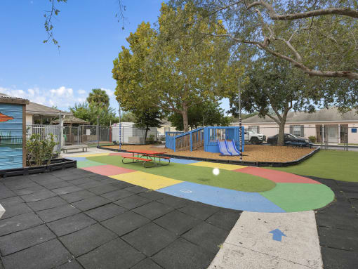 a playground with a multicolored circle in the middle of it and some trees at The Groves at Wimauma Apartments , Wimauma
