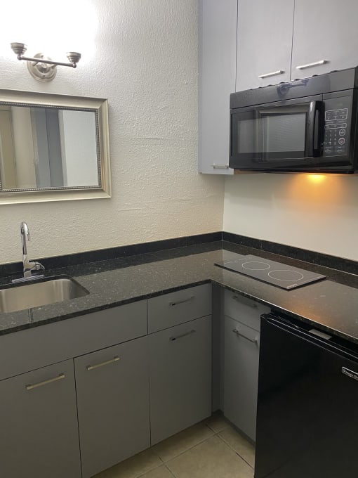 a kitchen with a sink and a microwave at Colonial Apartments, Orlando Florida