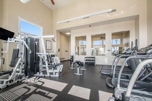Fitness Center with treadmills, weights, and homegym.