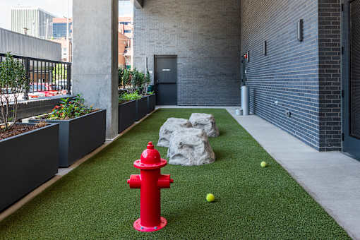 A red fire hydrant is in the middle of a green lawn.
