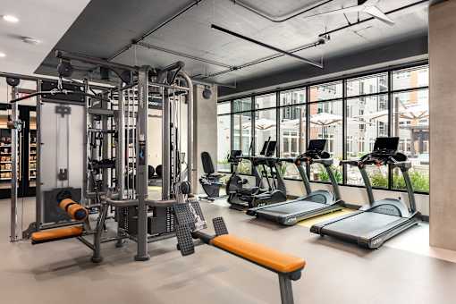 A gym with treadmills, weights, and exercise equipment.