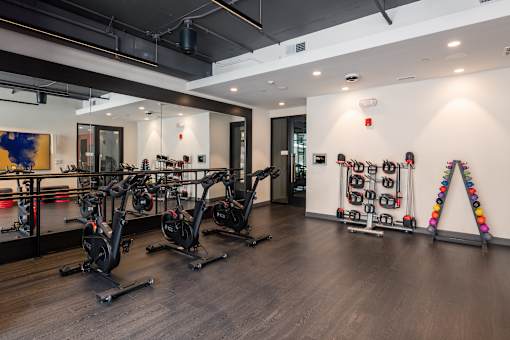 A gym with a row of stationary bikes.