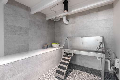 A stainless steel sink in a modern kitchen with a concrete wall.
