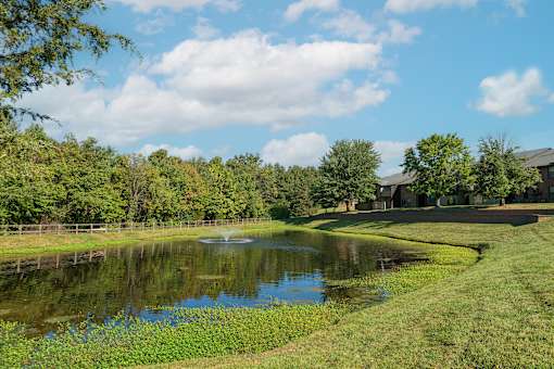 a pond with a fountain in the middle of a grassy field