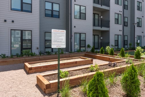 a community garden in front of an apartment building at The Flats & Terraces at Wildhorse Village, Chesterfield