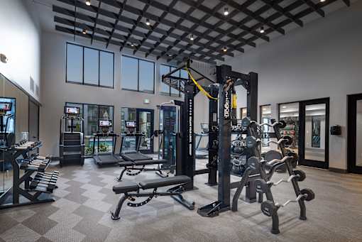 A gym with a variety of equipment including a squat rack, bench press, and a treadmill.