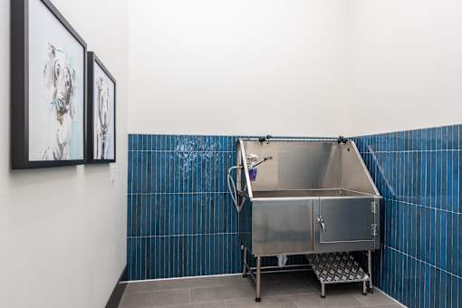A stainless steel food container with a handle and a door is on a trolley in a room with blue tiles, at Montage at Hawk Ridge Apartments, Lake St. Louis, MO, 63367