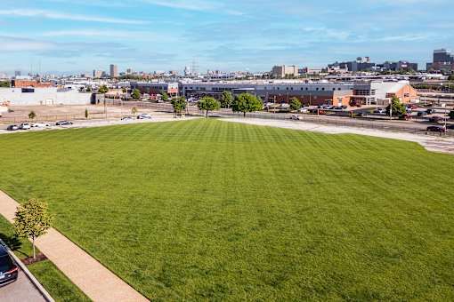 A large green field with a tree and a car on the left side.