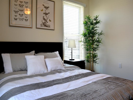 Gorgeous Bedroom at Promenade at New Town, Missouri, 63301