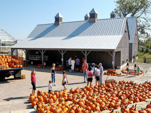 Marketplace at Promenade at New Town, Saint Charles, MO, 63301