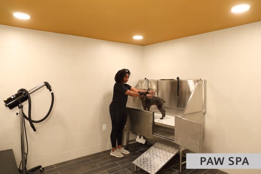 Paw Spa at Expo at Forest Park, St. Louis, Missouri