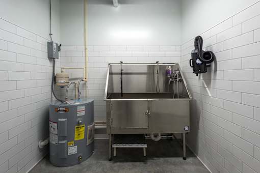 pet spa with dog washing station at Steelcote Square, St. Louis