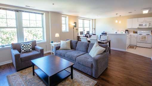 living room with three windows, gray couch and small coffee table at Residences at Forest Park, Missouri, 63108