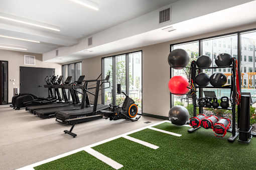 A gym with treadmills, weights, and exercise balls.