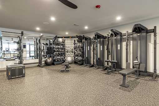 A gym with a variety of equipment including weights and a bench.