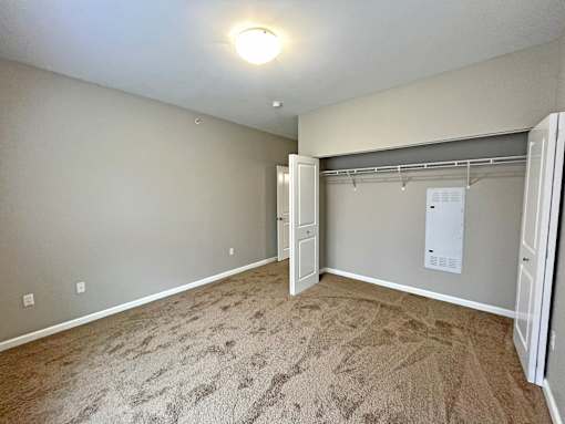 A room with a carpeted floor and a closet with a white door.