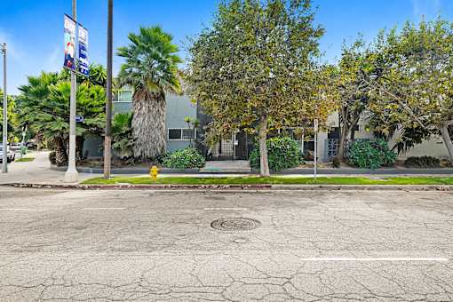 A cracked street with a yellow fire hydrant and trees.