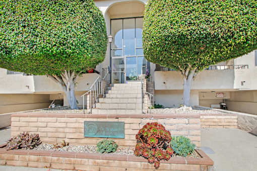 A green tree is in front of a building.
