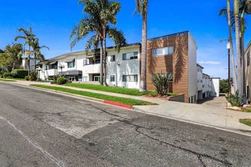 A street view of a residential area with houses and palm trees.