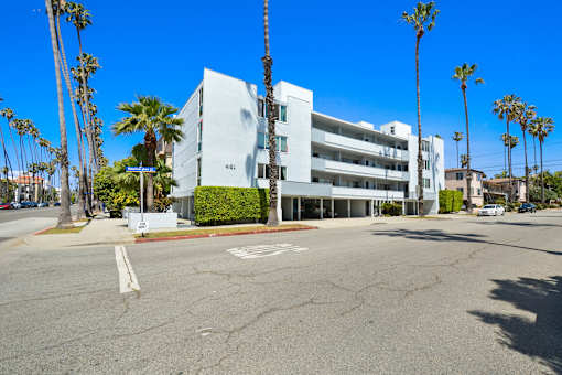 A white building with palm trees in front of it.