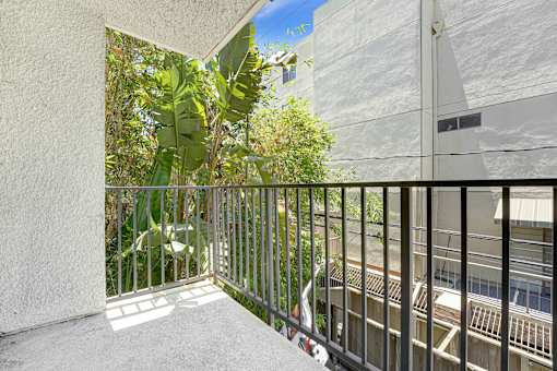 A balcony with a metal railing and plants on the side.
