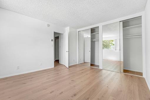A room with white walls and wooden flooring with three doors.