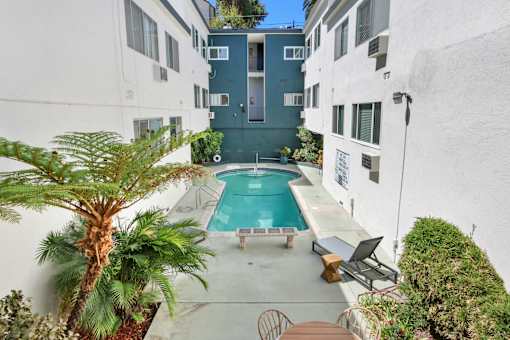 A pool surrounded by a patio with chairs and a palm tree.