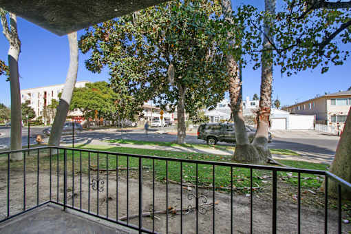 A tree with a thick trunk and a green top is in the foreground of the image.