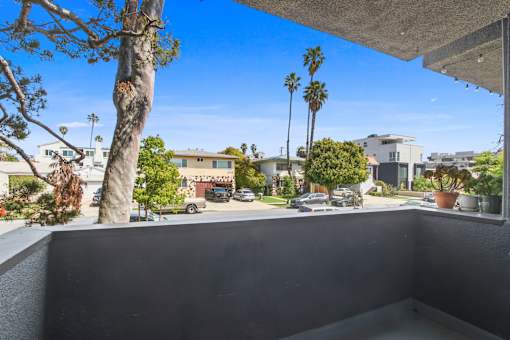 A balcony overlooks a residential street with houses and palm trees.