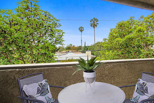A table with a plant on it and two chairs with towels draped over them.