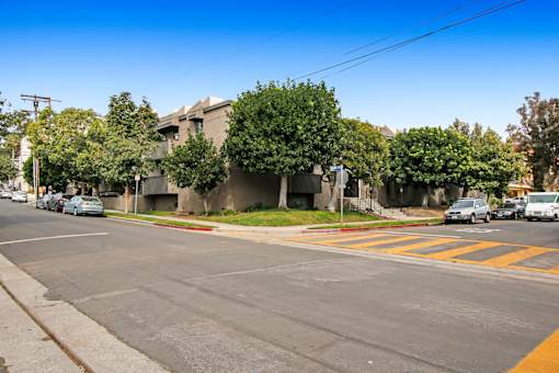 A street view with cars, trees, and buildings.