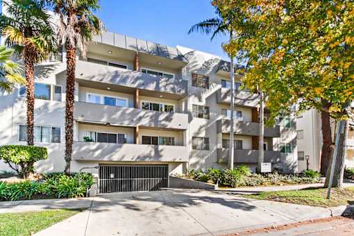 A modern apartment building with a palm tree in front.