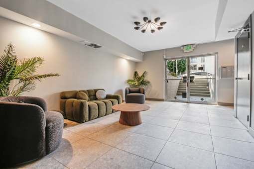 A living room with a couch, chair, and potted plant.