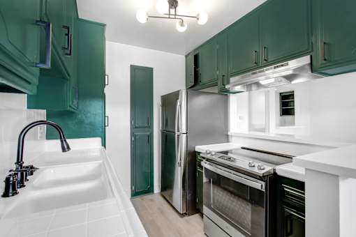 A kitchen with green cabinets and a white sink.