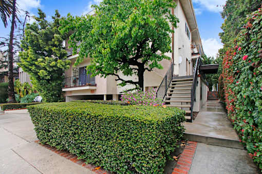 A house with a tree in front of it.