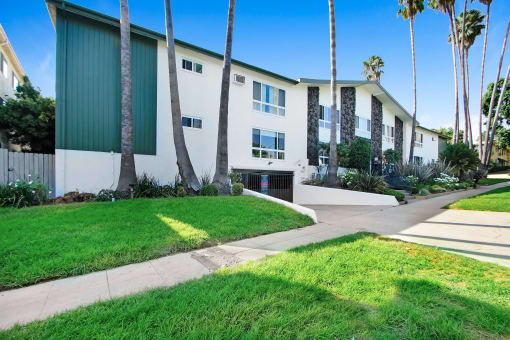 a white building with palm trees and a sidewalk in front of it