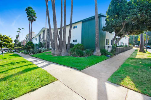 a building with a sidewalk and palm trees in front of it