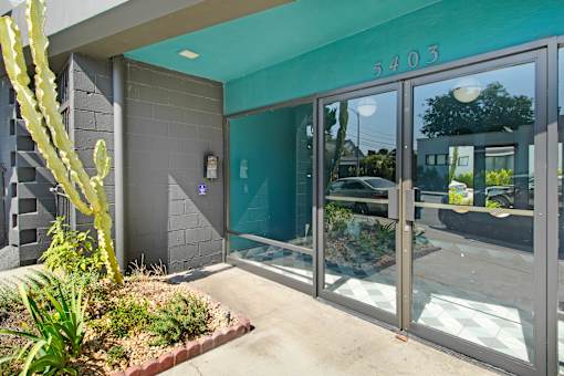 The image shows the entrance to a building with glass doors and a cactus plant in front.