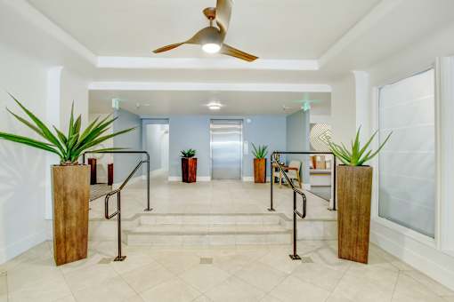 A hallway with a ceiling fan and potted plants.