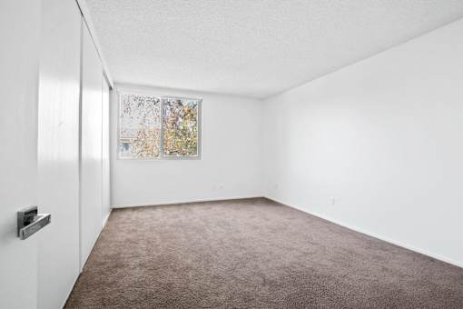 A room with a carpeted floor and a window with a view of trees.