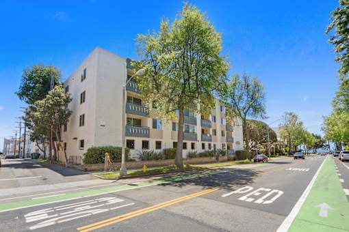 A street view with a building, trees, and a bike lane.