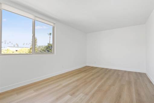 Empty room with a window overlooking a tree.