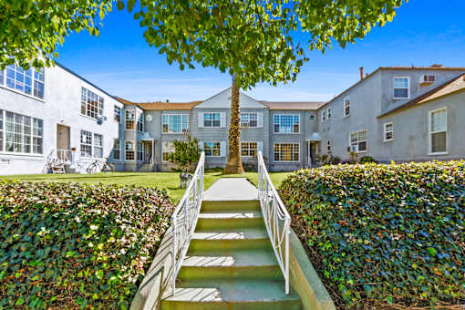 A tree in front of a building with a staircase leading to it.
